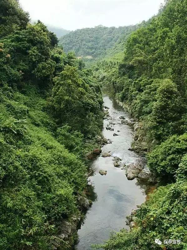 探索职场新人,老同事问我工资多少我该不该说?,解答你的疑问
